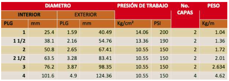 Combustible Combustible